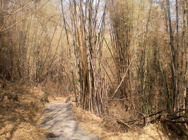 SANY5091.jpg