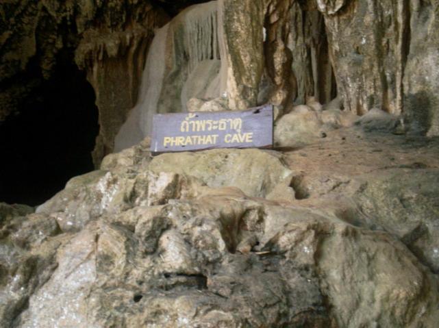 SANY5107.jpg