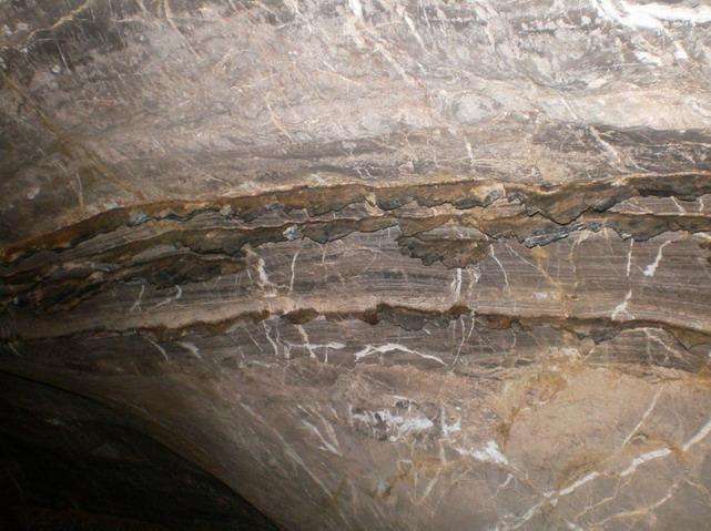 SANY5139.jpg