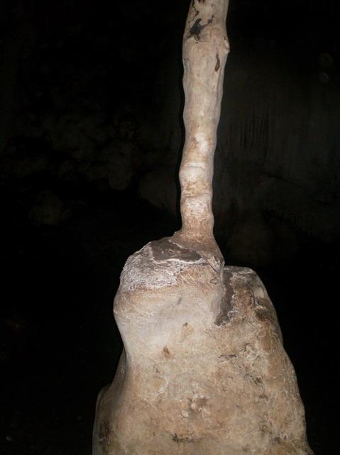 SANY5147.jpg