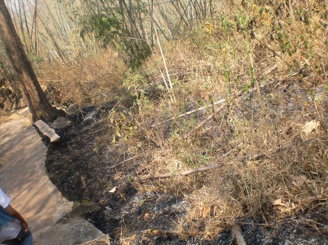 SANY5184.jpg