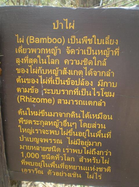 SANY5194.jpg