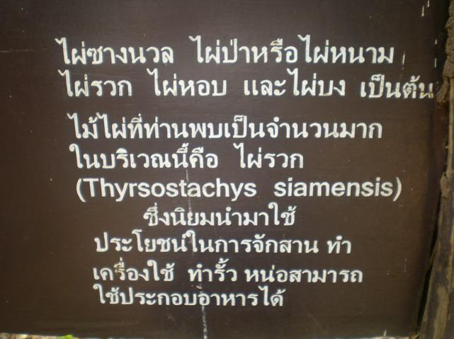 SANY5195.jpg