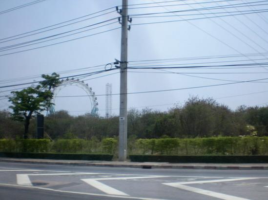 SANY5906.jpg