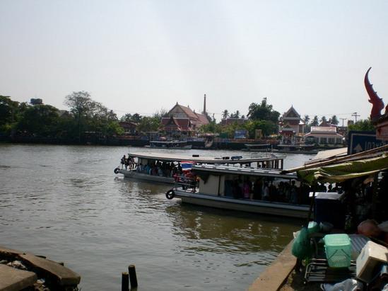 SANY5943.jpg