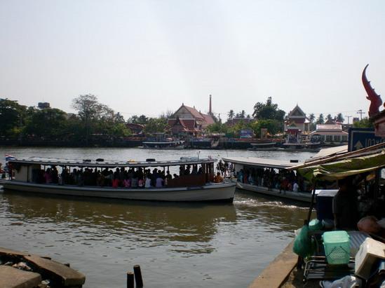 SANY5944.jpg