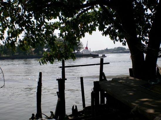 SANY5948.jpg