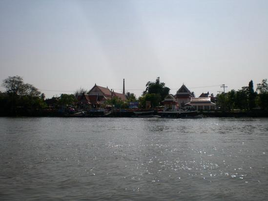 SANY5951.jpg