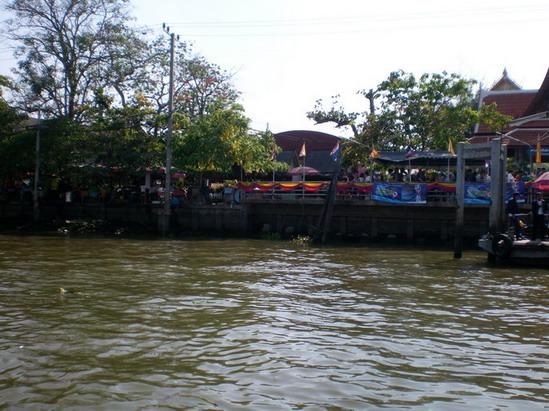 SANY5953.jpg
