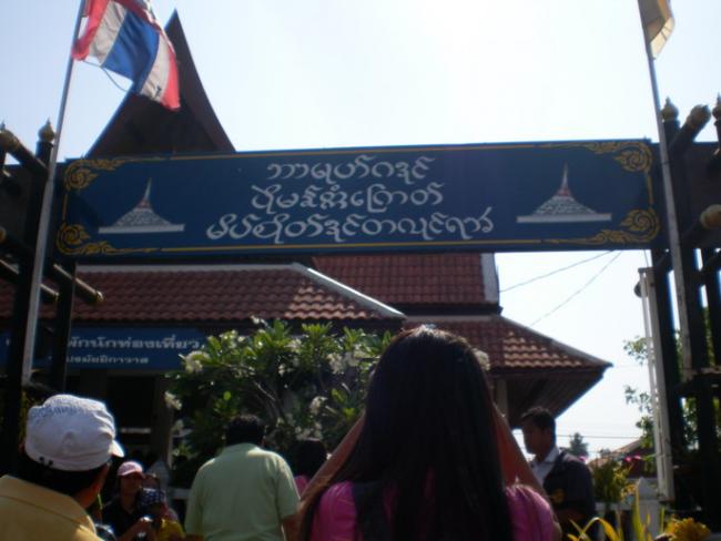 SANY5954.jpg