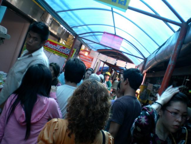 SANY5959.jpg