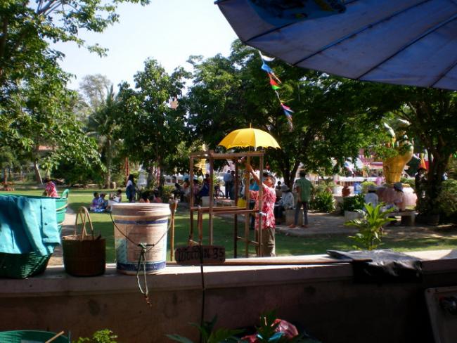 SANY5967.jpg