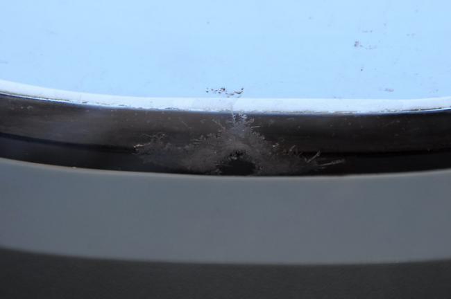 DSC_2505.jpg