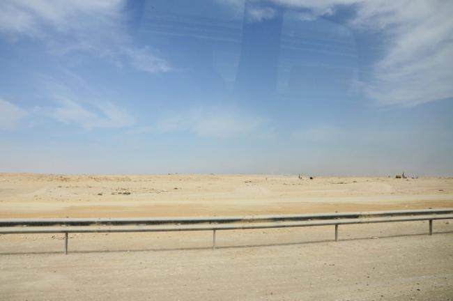 DSC_3937.jpg