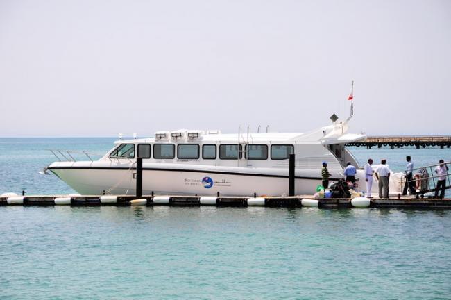 DSC_4575.jpg
