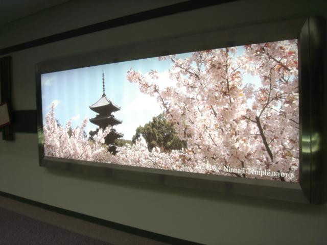 DSC00371.JPG