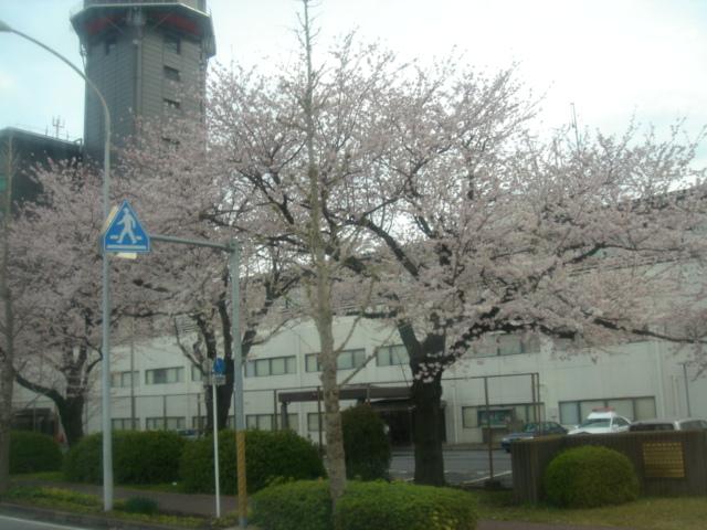DSC00379.JPG
