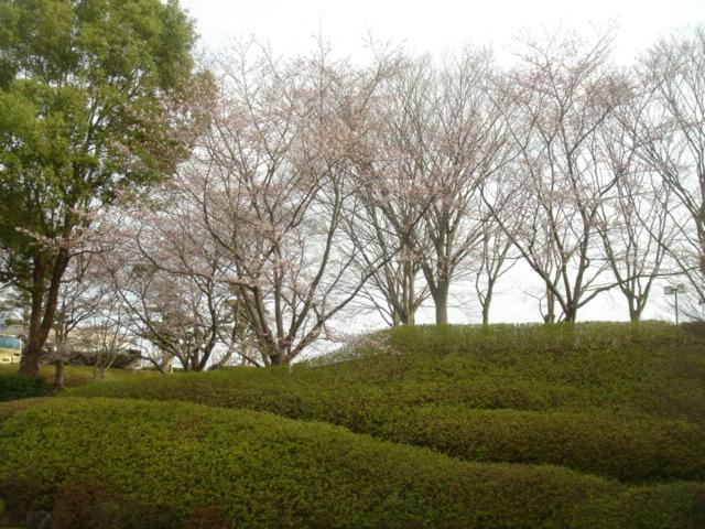 DSC00397.JPG