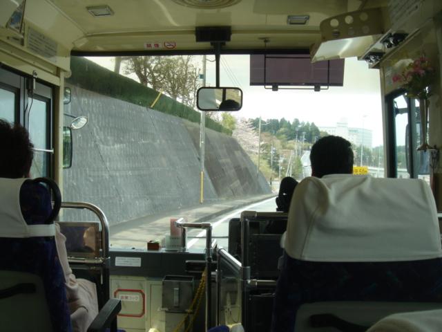 DSC00403.JPG