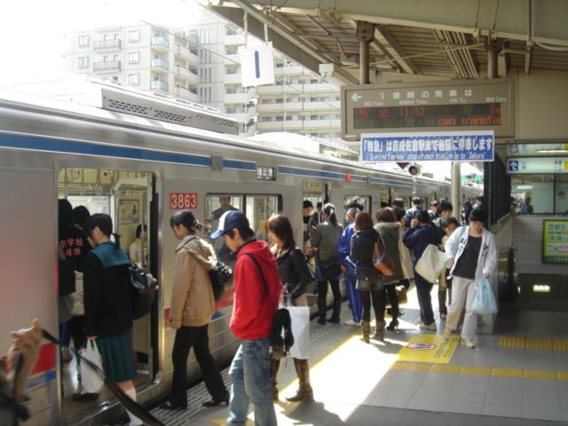 DSC00422.JPG