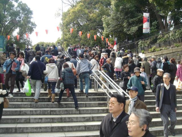 DSC00428.JPG