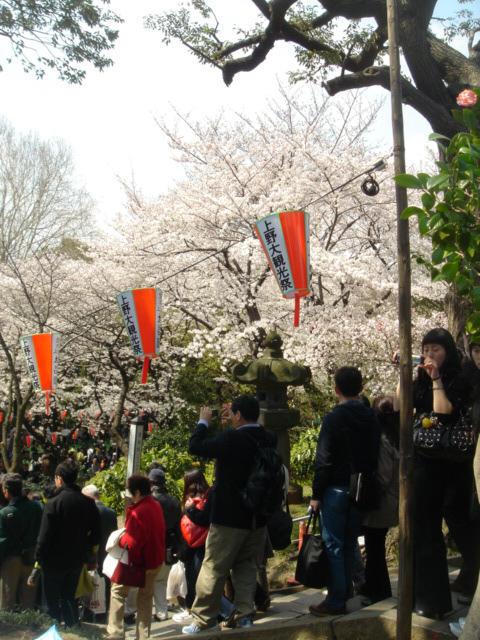 DSC00436.JPG