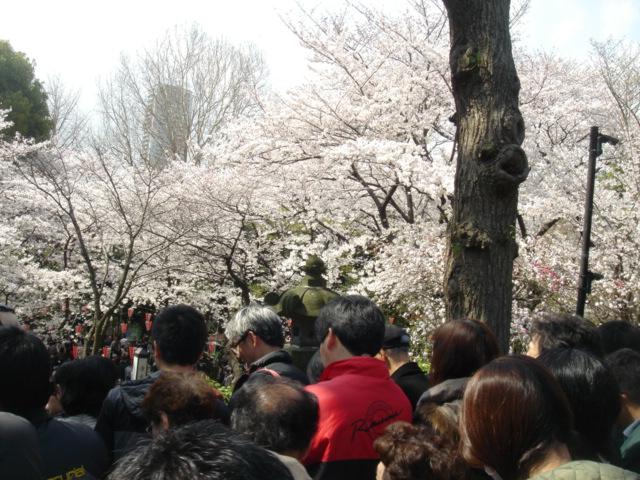 DSC00437.JPG