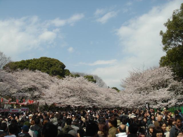 DSC00445.JPG