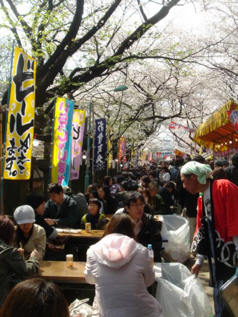 DSC00455.JPG