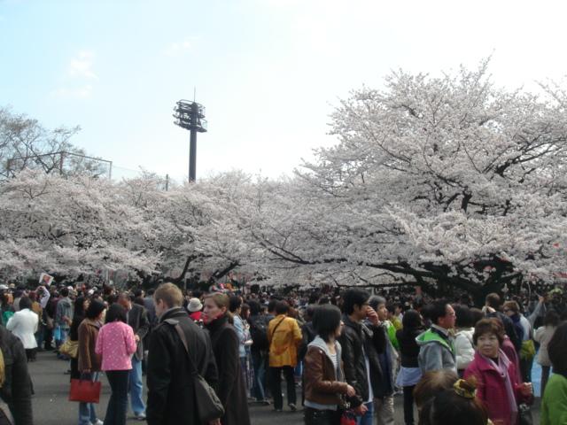 DSC00466.JPG