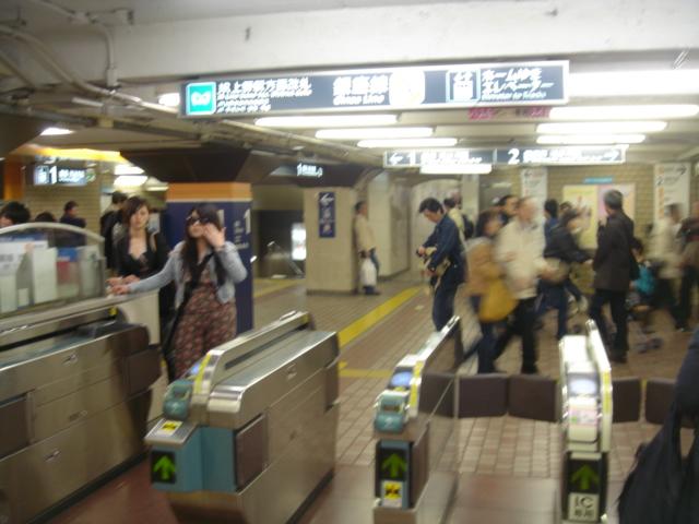 DSC00478.JPG
