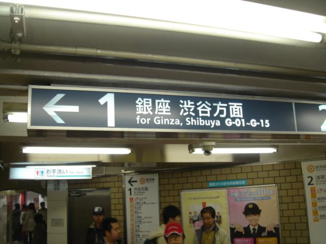 DSC00481.JPG