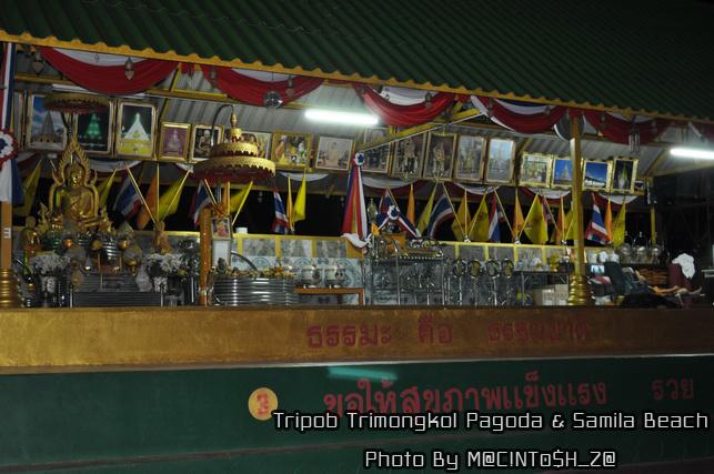DSC_0155_resize.jpg