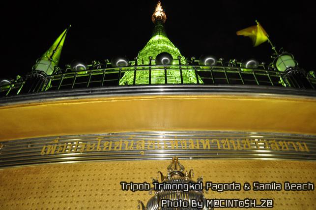 DSC_0168_resize.jpg