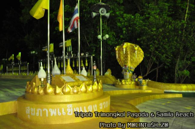 DSC_0207_resize.jpg