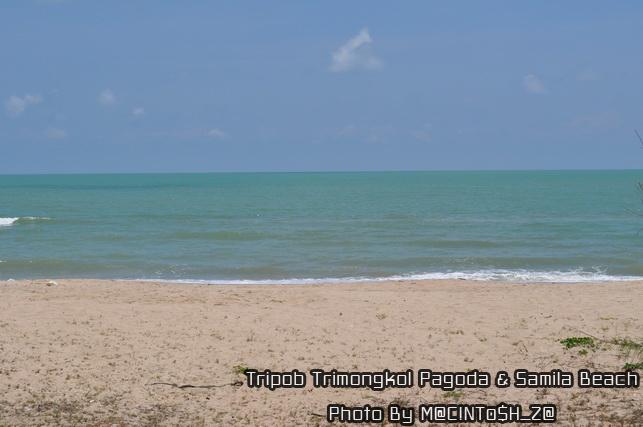 DSC_0280_resize.jpg