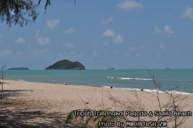 DSC_0282_resize.jpg