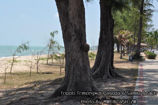 DSC_0283_resize.jpg