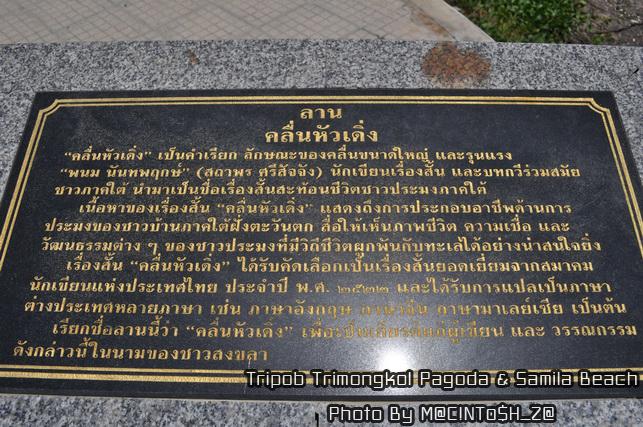 DSC_0288_resize.jpg