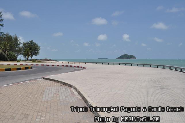 DSC_0289_resize.jpg