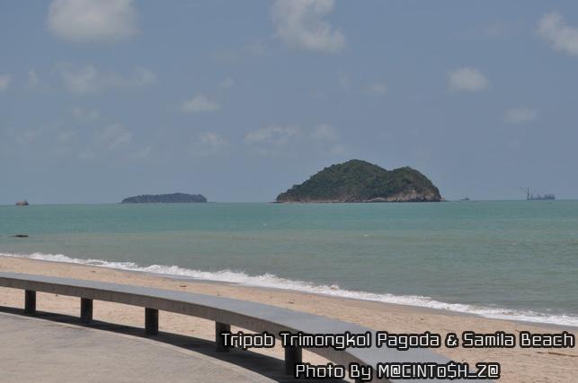 DSC_0293_resize.jpg