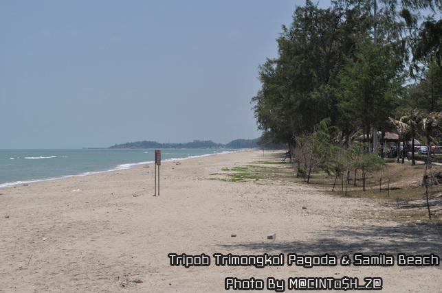 DSC_0294_resize.jpg