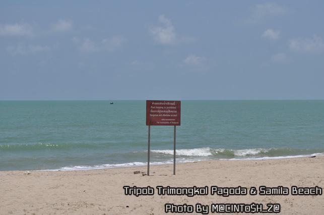 DSC_0298_resize.jpg