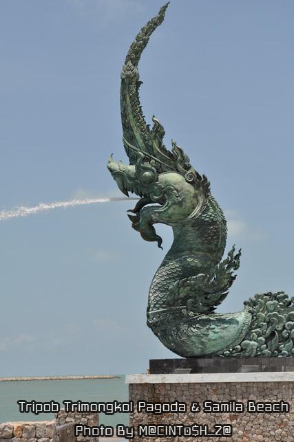 DSC_0310_resize.jpg