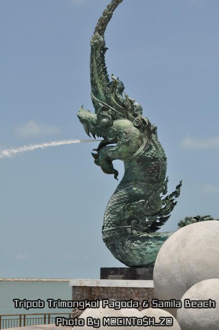 DSC_0311_resize.jpg