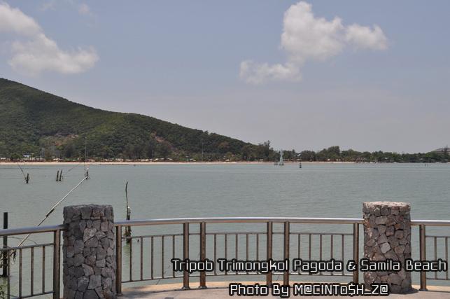 DSC_0308_resize.jpg