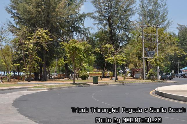 DSC_0313_resize.jpg