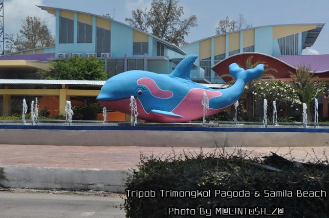 DSC_0316_resize.jpg
