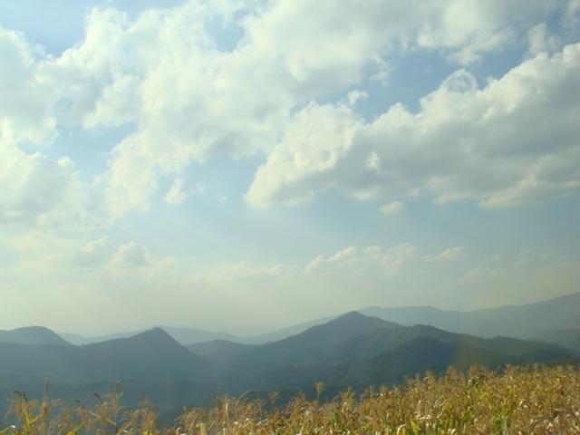 a027.JPG