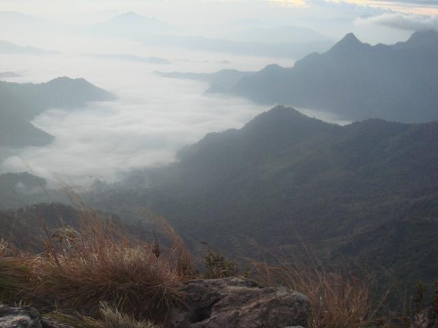 a037.JPG